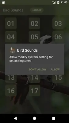 White-crested laughingthrush Sounds android App screenshot 1